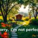 Sorry ich bin nicht perfekt Sprüche